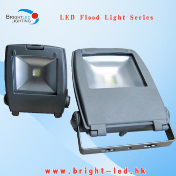 Super Brightness Bridgelux Chip 50W LED Flood Light/LED Projector with CE, RoHS (BL-FL-50W)