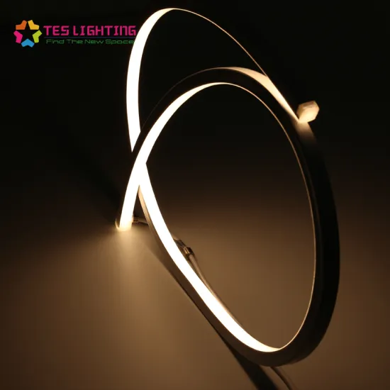 IP68 Waterproof 24V Custom Neon Lights