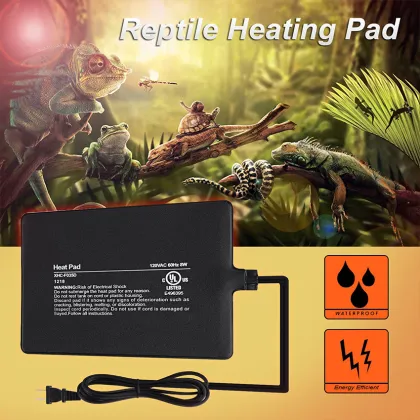 Reptile Vivarium Heating Solutions: Pads, Mats, and Thermostats
