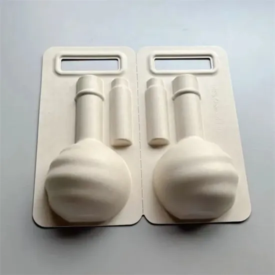 Eco-friendly sugarcane bagasse pulp molded packaging box