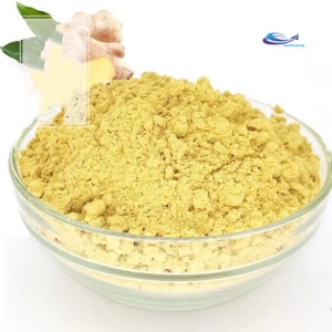 High Quality Pure Natural Gingerol Powder
