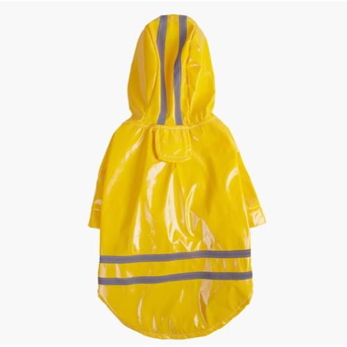 Chien imperméable avec capuche