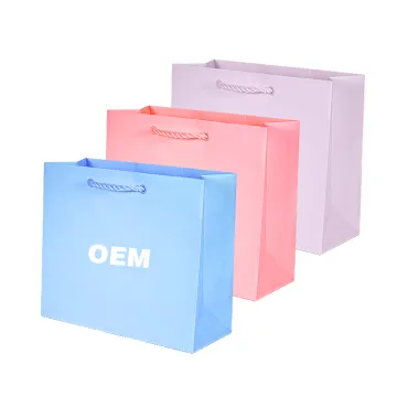 Famous Brand Gift Custom Printed Shopping Paper Bag