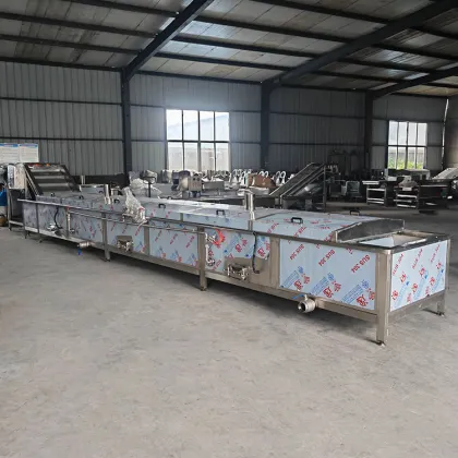 Boiling Cooking Blanching Machine for Peanuts, Almonds, and Hazelnuts