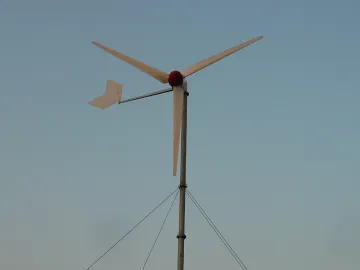 Wind Power Electricity Generator Type and Generator Type wind turbine