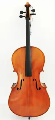 Ebony Fitted Classical Cello