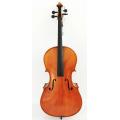 Violoncelle classique ajusté en ébène