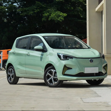 Trend 2024: Changan Benben 310 km Neuer Energie Elektrofahrzeug - 4 Rad Mini -Auto
