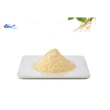 Ginseng Extract 20(S)-Ginsenoside Rh2