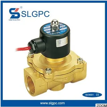 2W Series SLGPC-2W250-25 1 Inch water 24V DC Solenoid Valve
