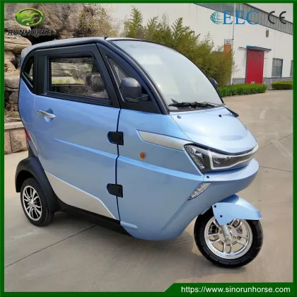 EEC Mini Adult Electric Small Car