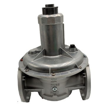 Factory-Price Original Dungs FRNG 5065 DN65 Gas Pressure Reducing Valves for Industrial Combustion: Affordable Solutions for Your Operation