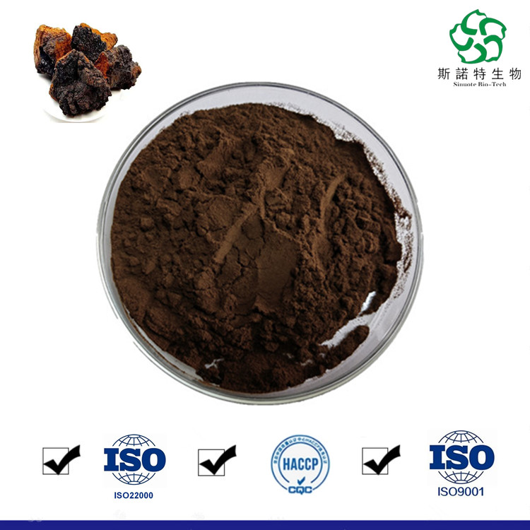 Natural Inonotus Obliquus Extract Powder