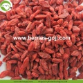 Factory Supply Nutrition Dried Red Wolfberries