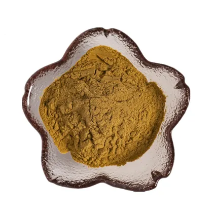factory suppy high quality radix isatidis extract powder, banlangen powder ,Indigowoad Root Extract powder