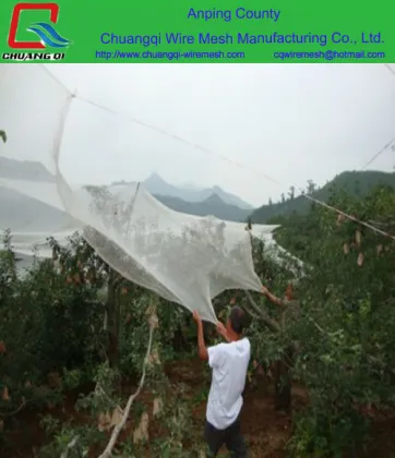 High quality Apple Tree Anti Hail Net,hail protection Net