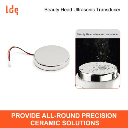 Beauty Head Ultrasonic Transducer