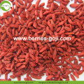 Good Quality for Sale Kurutulmuş Konvansiyonel Goji Berry