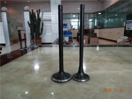 Diesel Engine Valve for KOMATSU Construction machinery