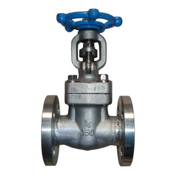 ANSI B 16.10 Flanged Globe Valve: Types F304 and F316 Stainless Steel, Sizes 3/4 inch & Class 150
