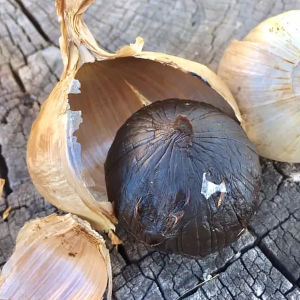 solo black garlic