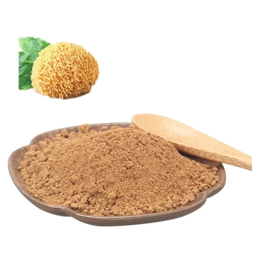 Estratto di funghi Hericium in polvere