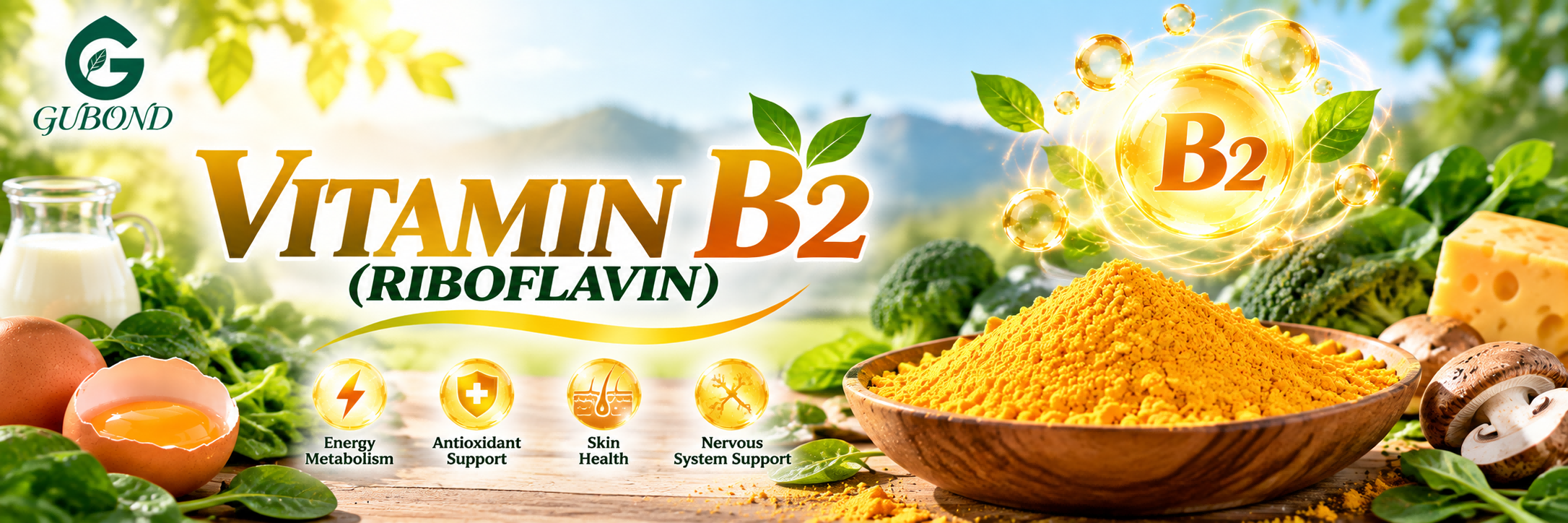 Riboflavin Supplement Ingredient