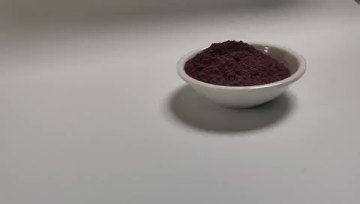 blueberry extract 25% anthocyanin powder