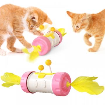Nettes Katzenspielzeug magisches Rad