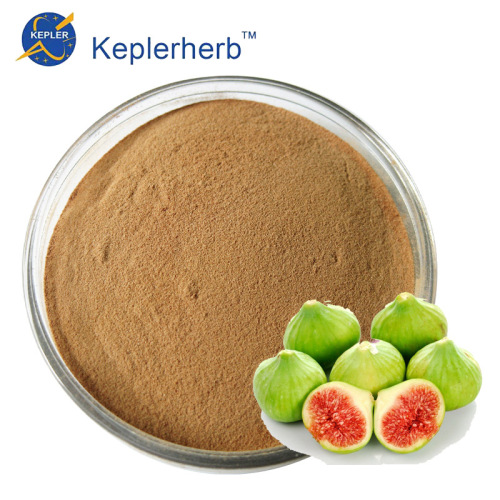 Fig Fruit Extract powder