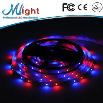 ip20 dotstar smd 3528 12v rgb led strip digital