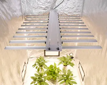 Phlizon Full Spectrum Greenhouse Led Lighting