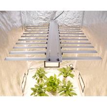 Commercial Led Hydroponics Grow Lamps Phlizon