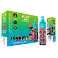 Newest and High-Quality Disposable E Cigarette 10000 Puffs