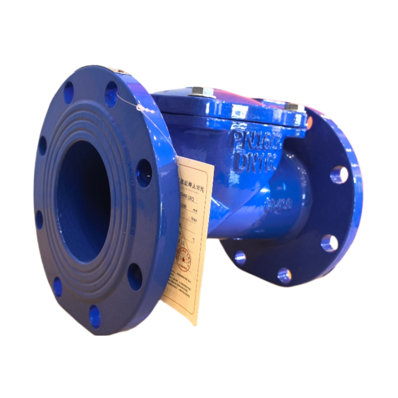 Flange rubber flap check valve