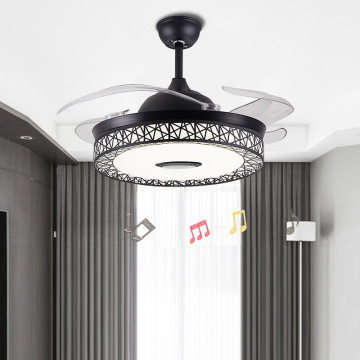 LEDER Modern Ceiling Fan With Lights