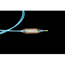 Disposable Dilation Balloon Catheters