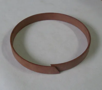 Plastic Nylon Guide Ring Derlin Support Ring
