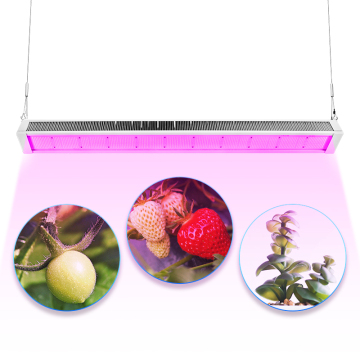 Luci di coltivazione a LED serra a spettro completo 240W 480W