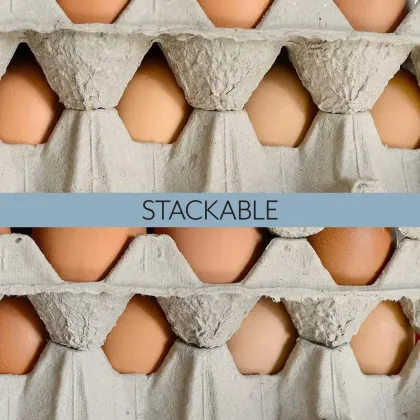 Green Paper Egg Tray for Safe Egg Storage