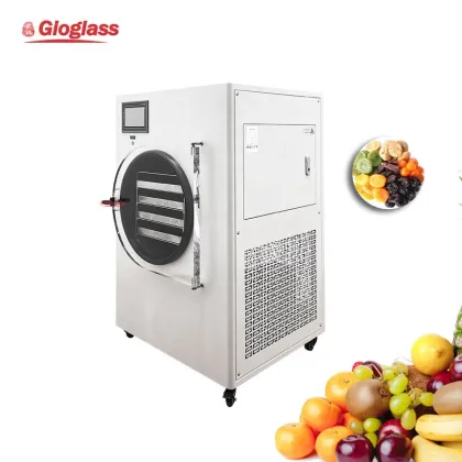 Mini Household Vacuum Freeze Dryer Machine for Candy