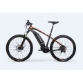 EU Warehouse Ebike For Family