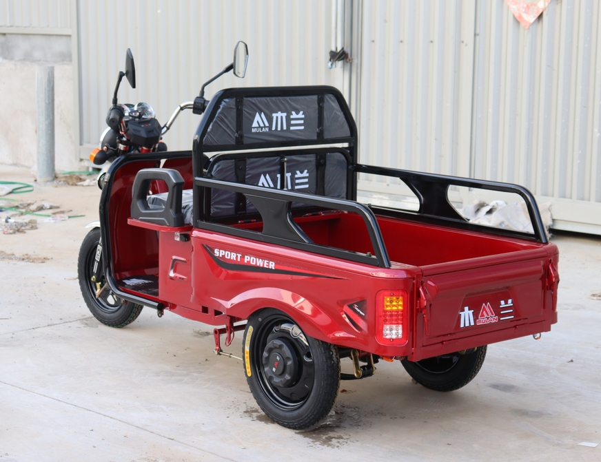 Manned Electric Tricycle