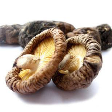 Natural And Pollution-Free Dried Large Mushroom