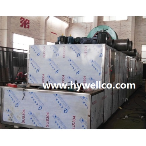 DW Series Continuous Mango Drying Machine
