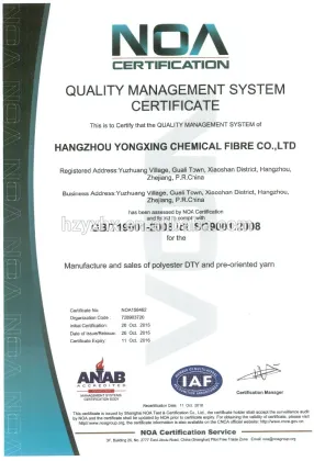 Polyester DTY 300D/96F/2 S+Z SD RW HIM
