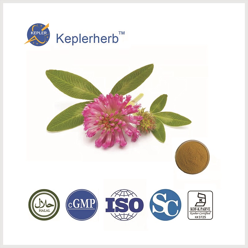 Herb/Herbal/Plant Red Clover Extract Isoflavones