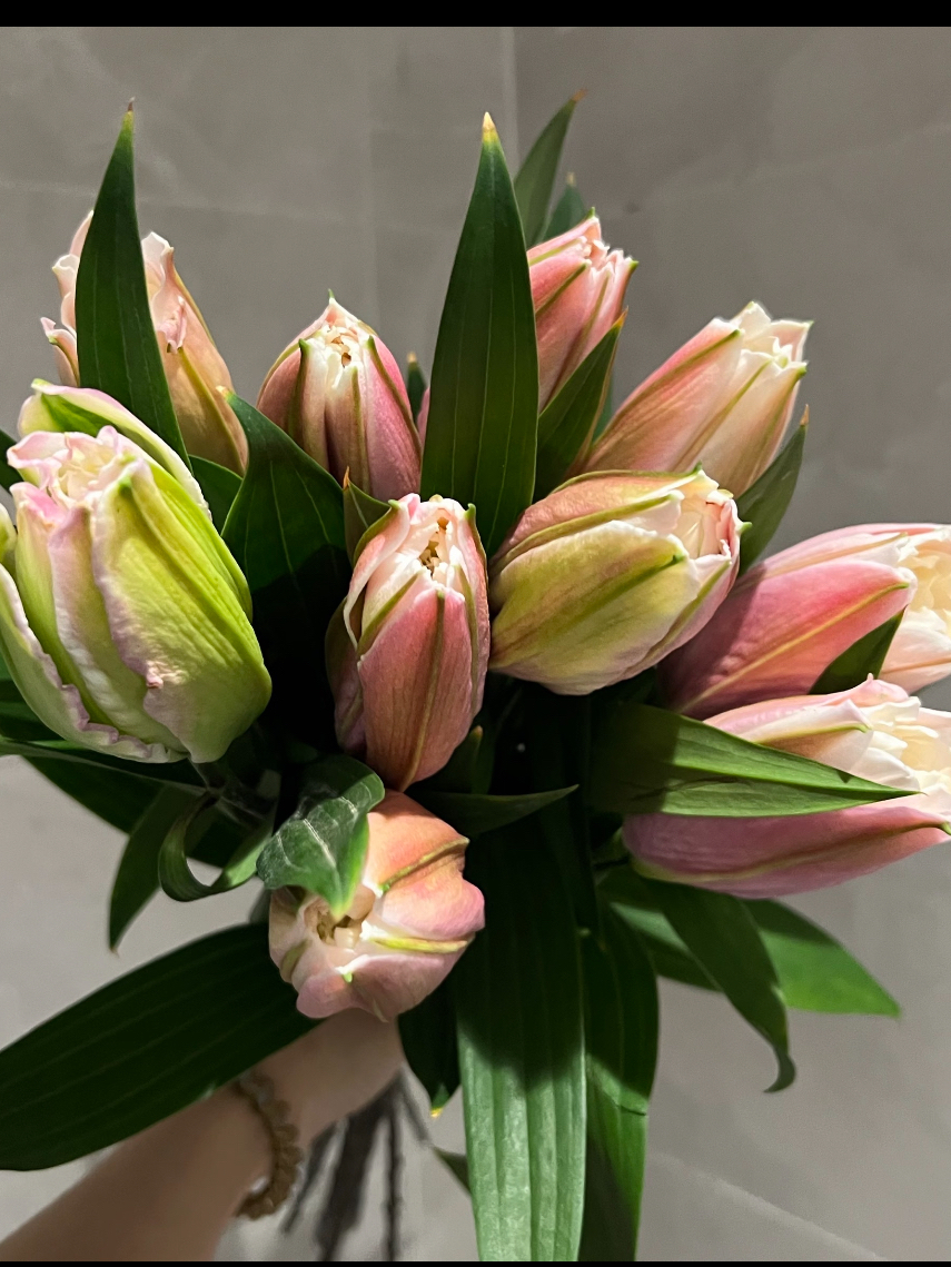 Double Lily Sara2