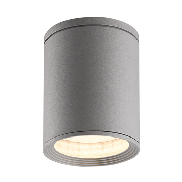 E27 Outdoor Ceiling Light 9053