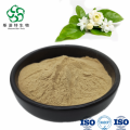 Pure Natural Jasmine Extract Powder